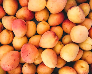 Apricot kernel oil ECO