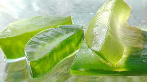 Jugo de Aloe Vera ECO