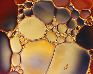 Glyceryl Stearate SE