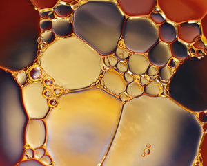 Glyceryl Stearate