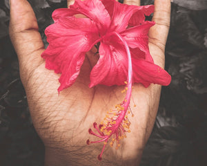 Hibisco ECO