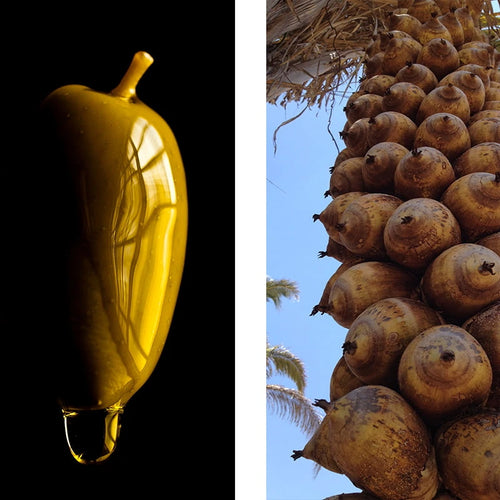 ACEITE DE OLIVA Y BABASÚ