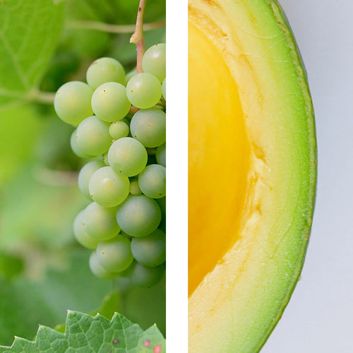 PEPITAS DE UVA Y AGUACATE