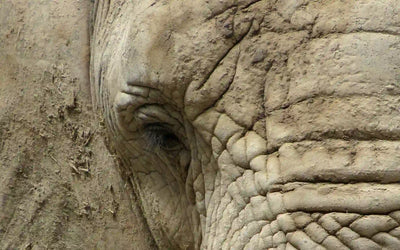 Hidratación facial: cómo saber si tu piel está deshidratada (y qué ingredientes sí funcionan)