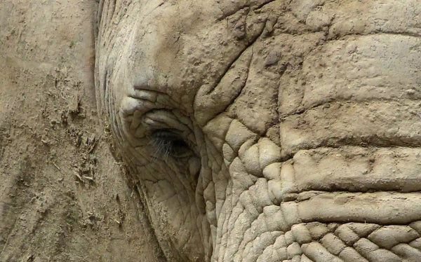 Hidratación facial: cómo saber si tu piel está deshidratada (y qué ingredientes sí funcionan)