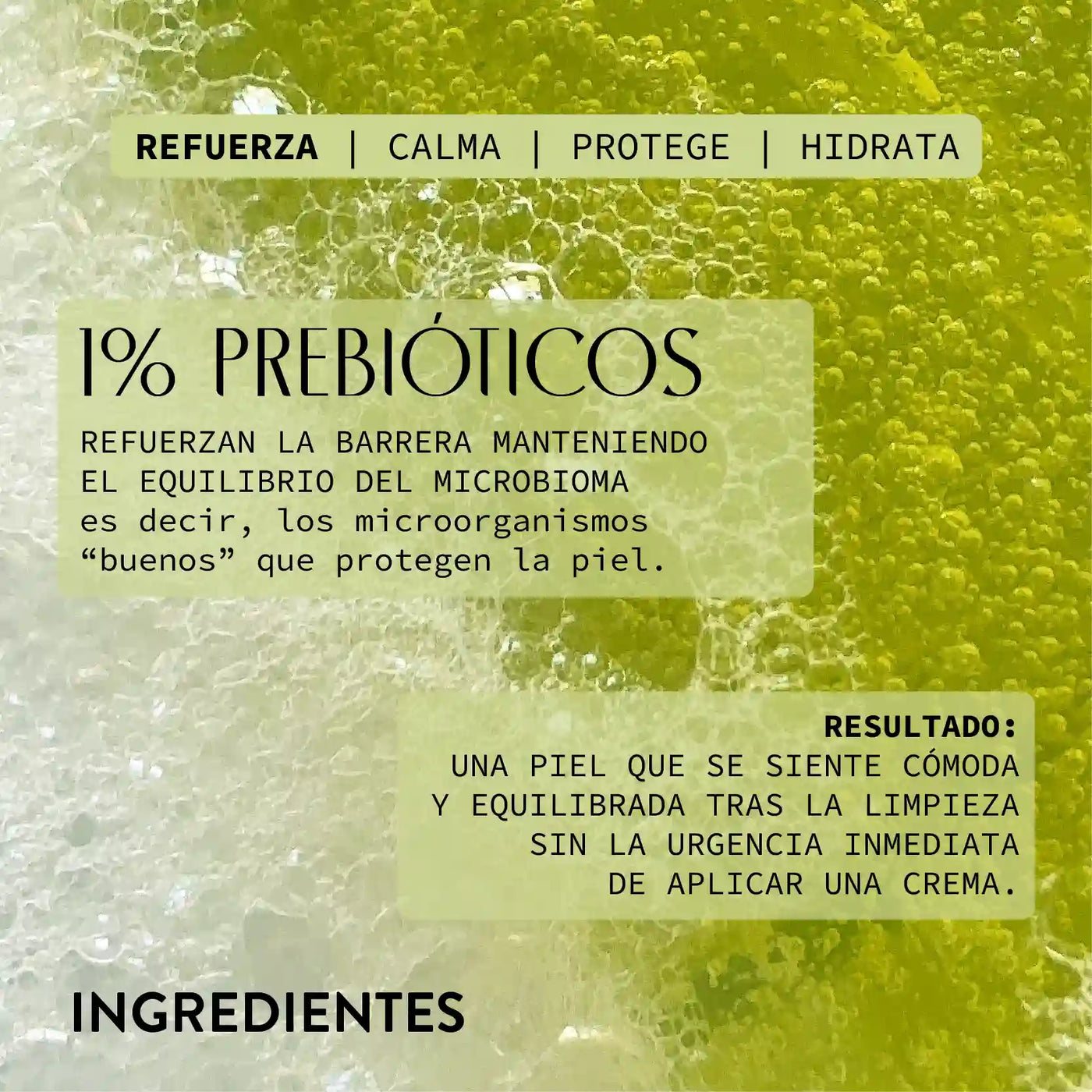/ES/ ingredientes green soul limpiador prebióticos