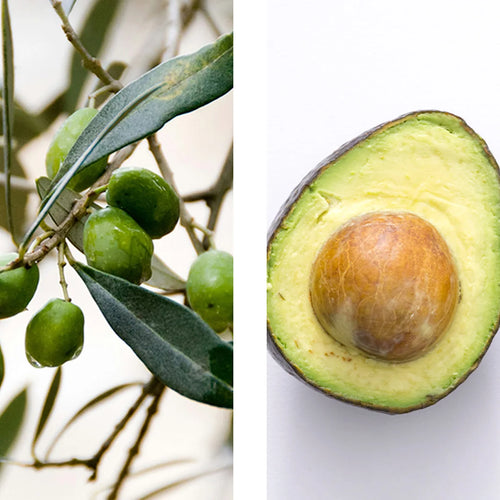 Avocado and olive oils