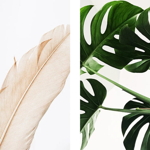 ÁCIDO LACTOBIÓNICO + EXTRACTOS BOTÁNICOS CALMANTES