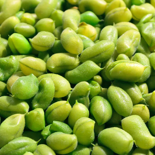 SOYBEAN OIL