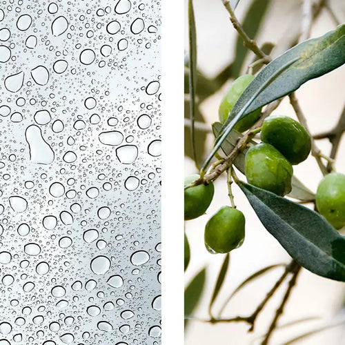 Ceramidas + Escualano