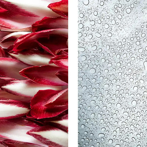 <p><strong>Prebióticos + ceramidas</strong></p>