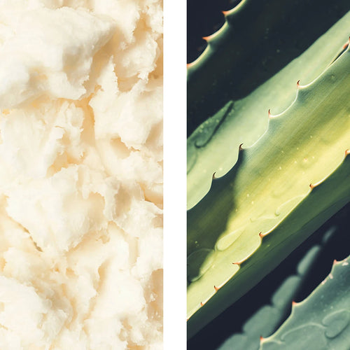Shea butter and aloe vera