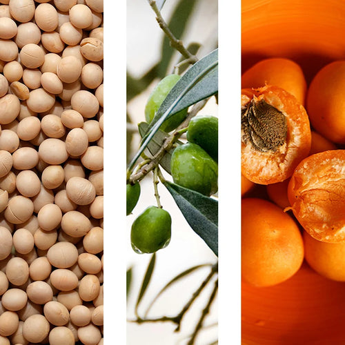 <p><strong>Aceite de soja + escualano + aceite de semilla de albaricoque</strong></p>